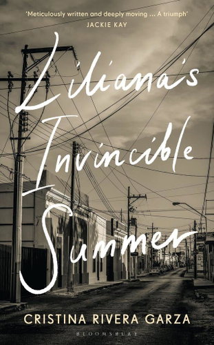 Liliana's Invincible Summer: A Sister's Search for Justice - Kniha - Main image