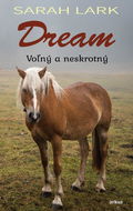 Dream - Kniha
