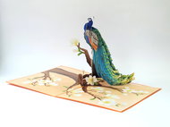 3D přání Peacock Glory - Greeting Card