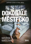 Dokonalé městečko - Kniha