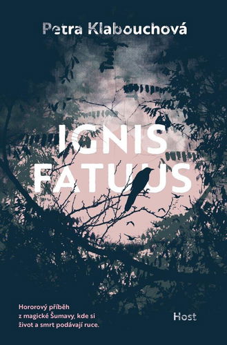 Ignis fatuus - Kniha - Hlavní obrázek