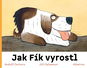 Jak Fík vyrostl - Kniha