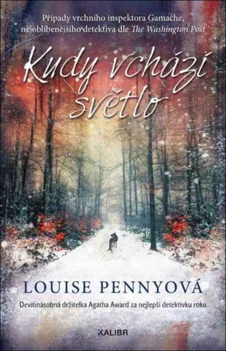 Kudy vchází světlo - Kniha - Main image
