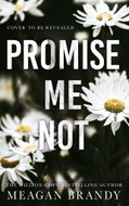 Promise Me Not - Kniha
