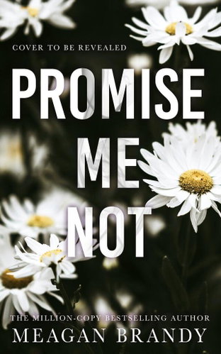 Promise Me Not - Kniha - Main image