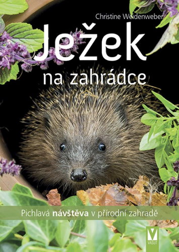 Ježek na zahrádce - Kniha - Main image