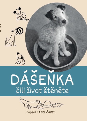 Dášeňka - Kniha - Main image