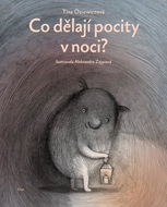 Co dělají pocity v noci? - Kniha