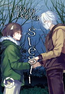 Pokoj v barvách štěstí 8 - Kniha