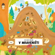 Co se děje v mraveništi - Kniha