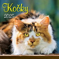 Cats 2025 - Wall Calendar