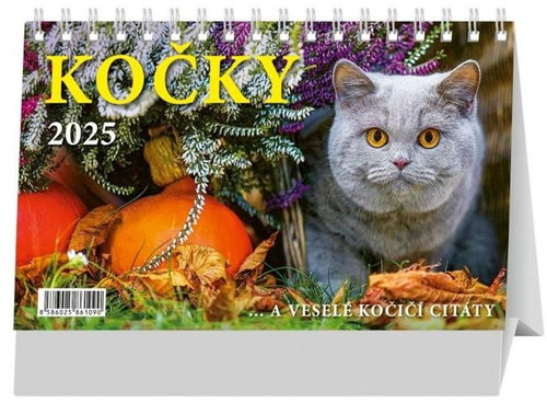 Cats 2025 - Desk Calendar - Main image