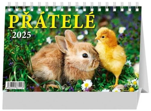 Friends 2025 - Desk Calendar - Main image