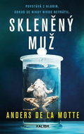 Skleněný muž - Kniha