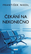 Čekání na nekonečno - Kniha