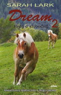 Dream 2 - Kniha