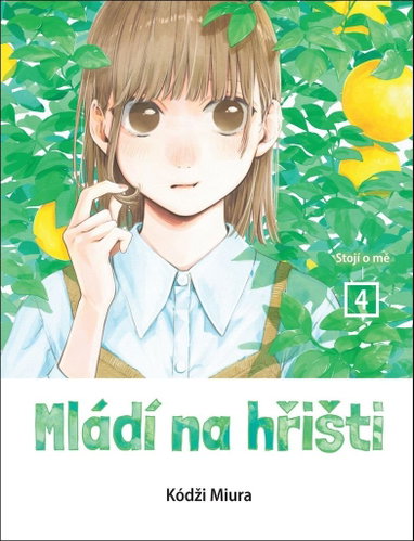 Mládí na hřišti 4: Stojí o mě - Kniha - Main image