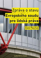 Zpráva o stavu Evropského soudu pro lidská práva - Kniha
