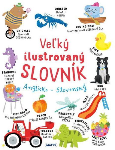 Veľký ilustrovaný slovník  Anglicko - Slovenský - Kniha - Main image