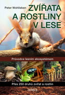 Zvířata a rostliny v lese - Kniha