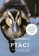Zajímaví ptáci: 36 druhů, které vás ohromí - Kniha
