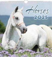 Horses 2025 - Wall Calendar