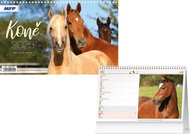 Horses 2025 - Desk Calendar