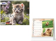 Kočky 2025  - Desk Calendar
