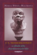 F. X. Messerschmidt a záhada jeho charakterových hláv - Kniha