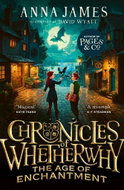 Chronicles of Whetherwhy: The Age of Enchantment - Kniha