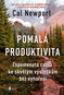 Pomalá produktivita - Kniha