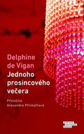 Jednoho prosincového večera - Kniha