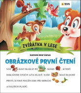 Obrázkové první čtení Zvířátka v lese - Kniha