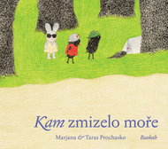 Kam zmizelo moře - Kniha