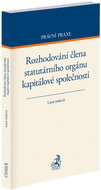 Rozhodování člena statutárního orgánu kapitálové společnosti - Kniha
