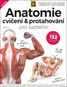 Anatomie cvičení & protahování pro každého: Srozumitelný ilustrovaný průvodce funkcí svalů nejen při - Kniha