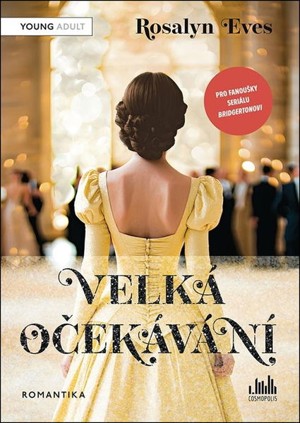 Velká očekávání - Kniha - Hlavní obrázek