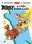 Asterix Asterix a cesta kolem Galie - Kniha