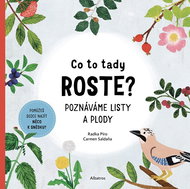 Co to tady roste?: Poznáváme listy a plody - Kniha