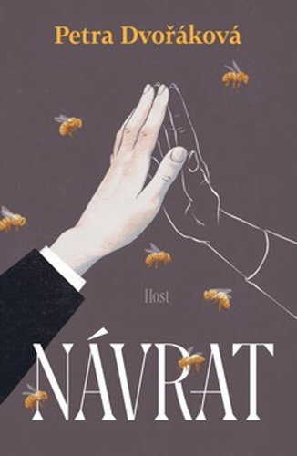 Návrat - Kniha - Main image