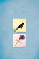 All the Bright Places Collector's Edition - Kniha