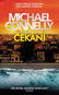 Čekání - Kniha