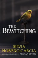 The Bewitching - Kniha