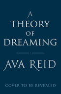 A Theory of Dreaming - Kniha