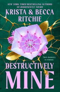 Destructively Mine - Kniha