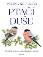 Ptačí duše: Létající drahokamy našich luk, ledů a zahrad - Kniha