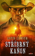 Stříbrný kaňon - Kniha