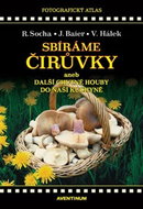Sbíráme čirůvky a další chutné houby do naší kuchyně - Kniha