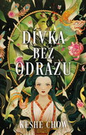 Dívka bez odrazu - Kniha