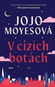 V cizích botách - Kniha